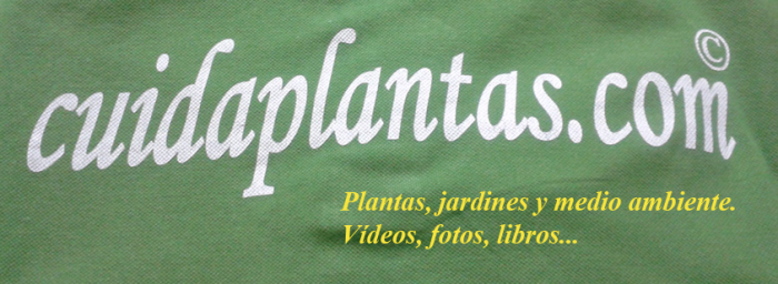 Cuidaplantas.com, empresa de Jardinería y paisajismo en Madrid