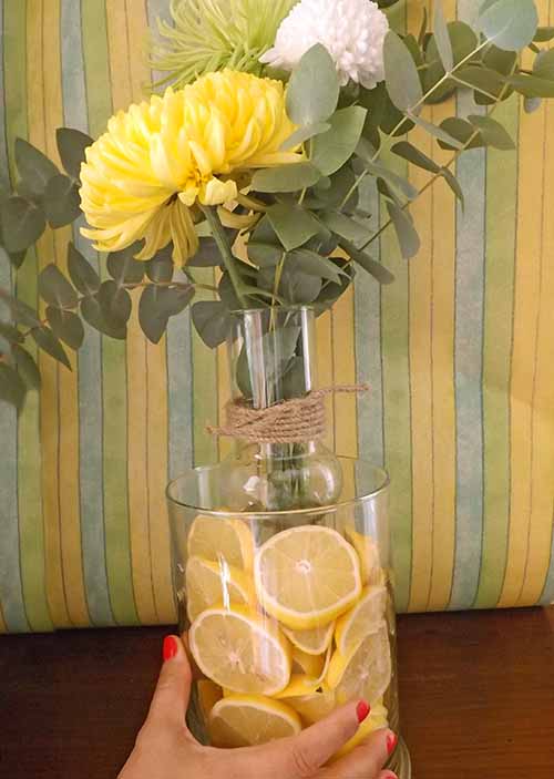 Nominal empujoncito carro Centro de mesa original con limones amarillos y flores – Blog de jardinería  y paisajismo