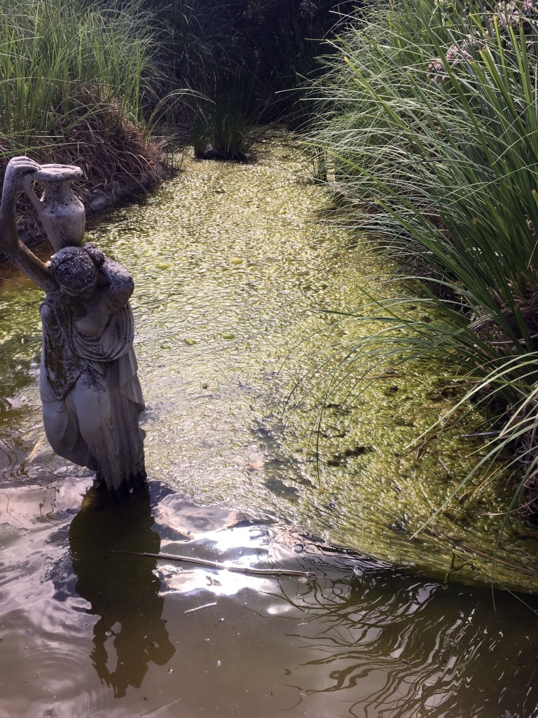 las algas y la estatua